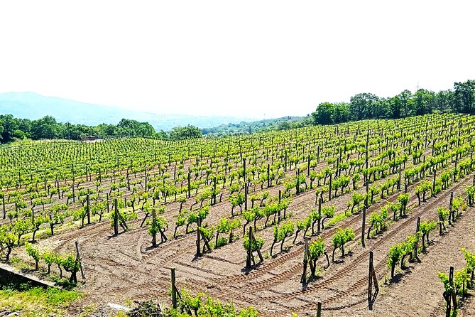 Private tour of Etna with food and wine tasting in the cellar - Entering an Etna lava tunnel with helmets and torches