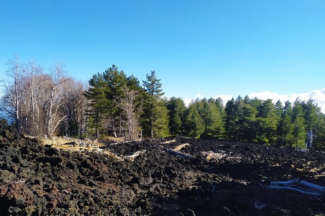 Private tour of Etna with food and wine tasting in the cellar - The scenic return through Sicilian towns