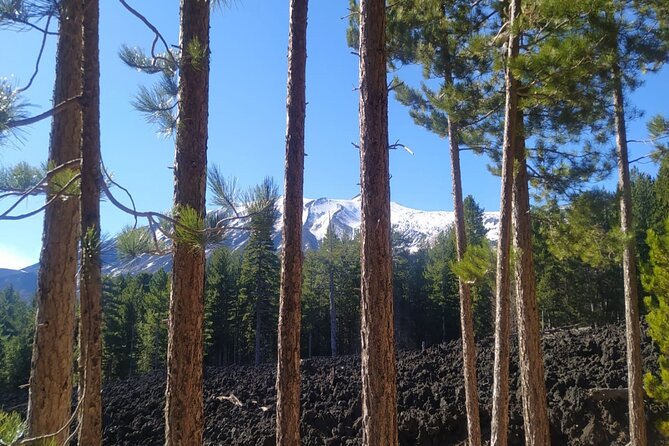 Private tour of Etna with food and wine tasting in the cellar - Walking lava flows and extinct side craters