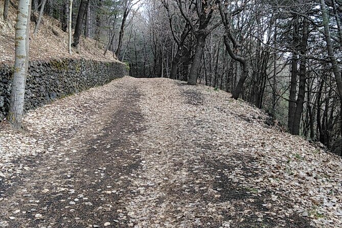 Private tour of Mount Etna and the Alcantara Gorges - Etna from the coast to the Silvestri Craters