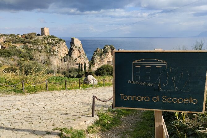 Private Tour to Segesta, Erice and Wine Tasting in Marsala - What the driver and guide add