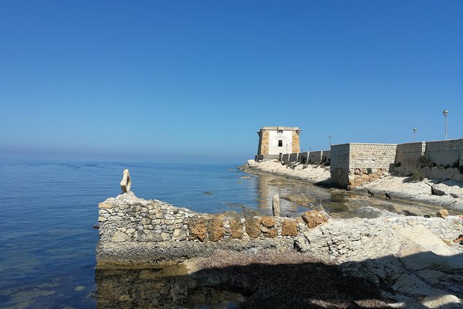 Private Tour, Valley of the Temples, Agrigento city and Scala dei Turchi - Why this private day trip works from Palermo