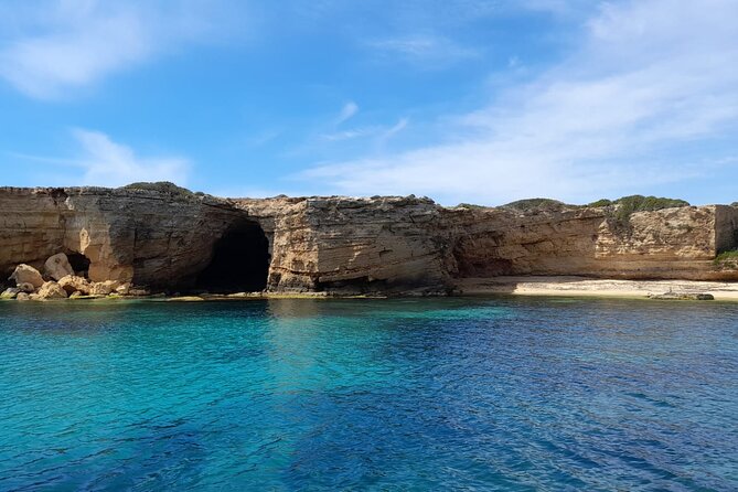 Private tour with fish products and Full Drinks - Key things to know before you book