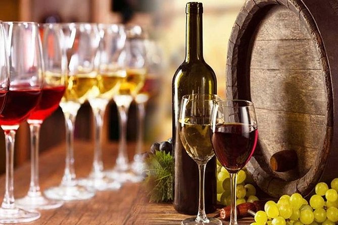 Private visit to the cellars of Etna with wine tasting - Transport, timing, and the private format