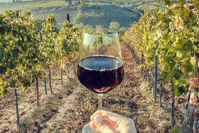 Private visit to the cellars of Etna with wine tasting - Price, value, and what to confirm