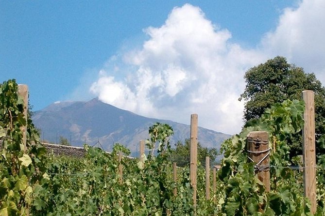 Private visit to the cellars of Etna with wine tasting - From Catania to old villages and Mount Etna