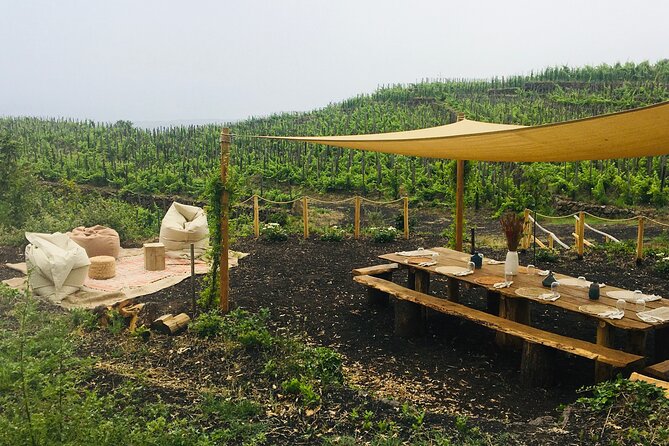 Private Wine and Food Tasting Immersed in Nature in Milo - Key points to know before booking