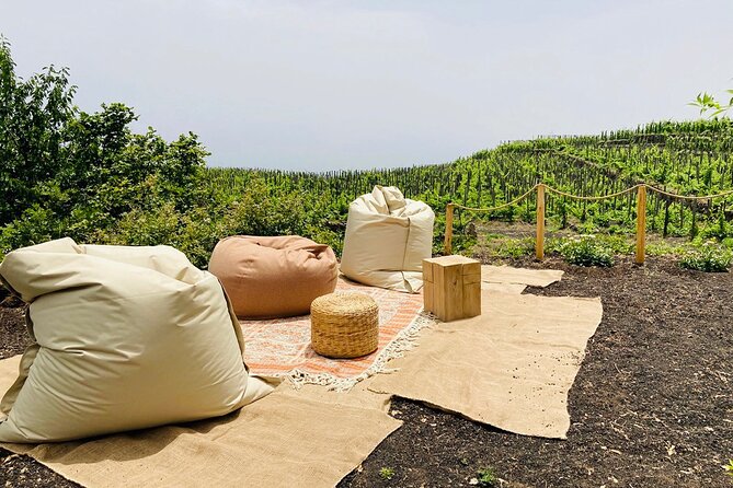 Private Wine and Food Tasting Immersed in Nature in Milo - Pasta alla Norma from the organic garden