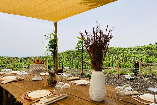 Private Wine and Food Tasting Immersed in Nature in Milo - Arriving in Milo, high on Etna’s eastern side