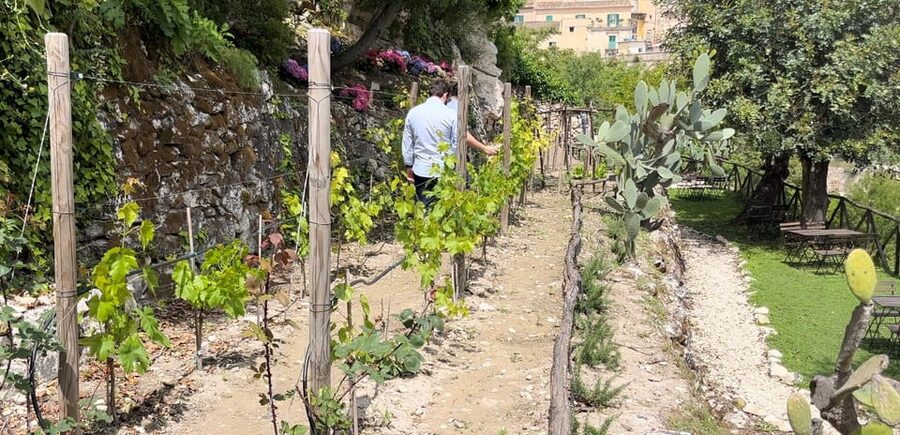 Radici: IImmerse yourself in the heady scents of our garden - A secret garden beside Ragusa Ibla