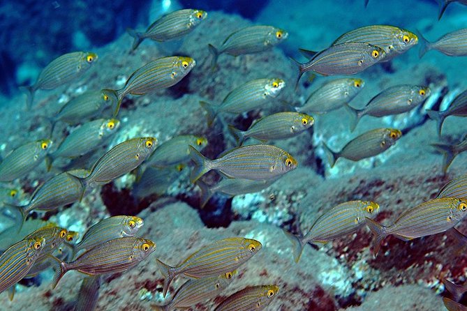Relaxing snorkeling tour at the Isola Bella Marine Park Taormina - The second snorkeling stop at about 11:30 a.m.