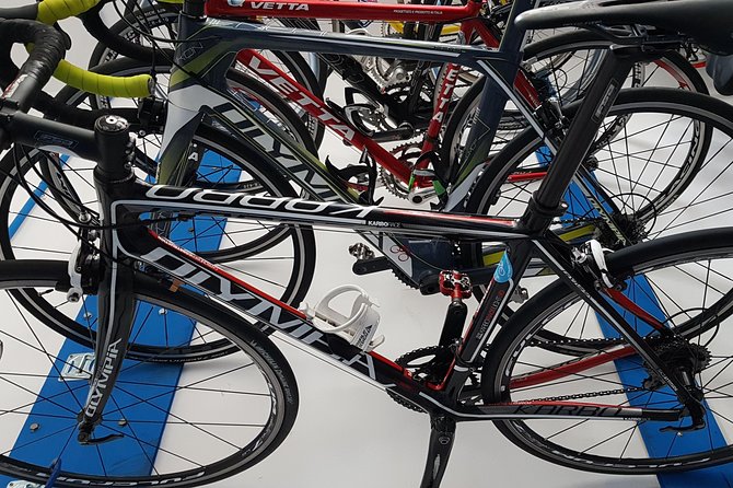 Rent road bike - Key points for a self-guided Palermo bike day