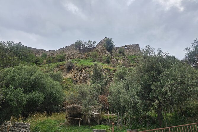 Research Your Ancestors in Sicily from Cruise Terminal of Messina - Extra stops in Messina, Savona, and the surrounding area