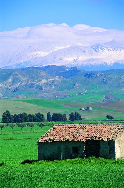 Scenic Tour of Etna foot hills and Alcantara Gorges - Alcantara Gorges: Sicily’s lava-made river canyon