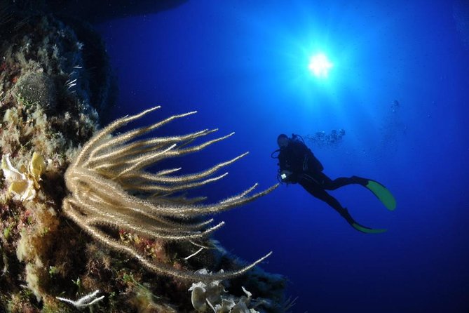Scuba Diving Experience - From Aci Castello to the Cyclops Islands