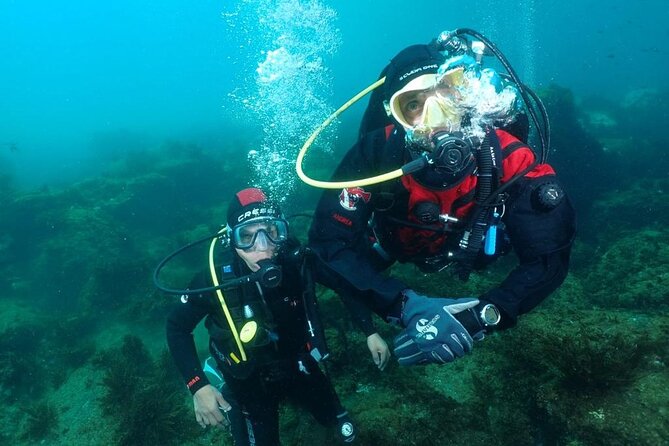 Scuba Diving Experience - The first-timer experience