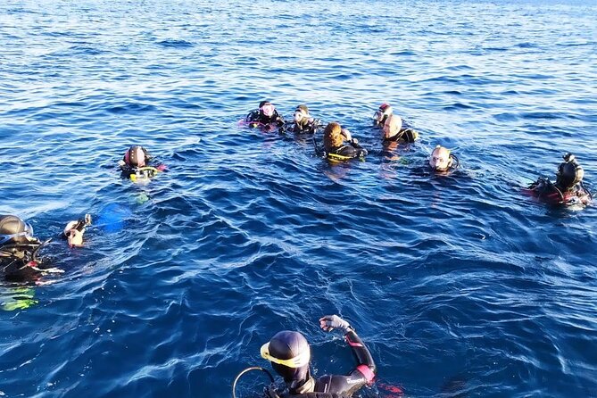 Scuba Diving Experience - A quiet underwater look at Sicily