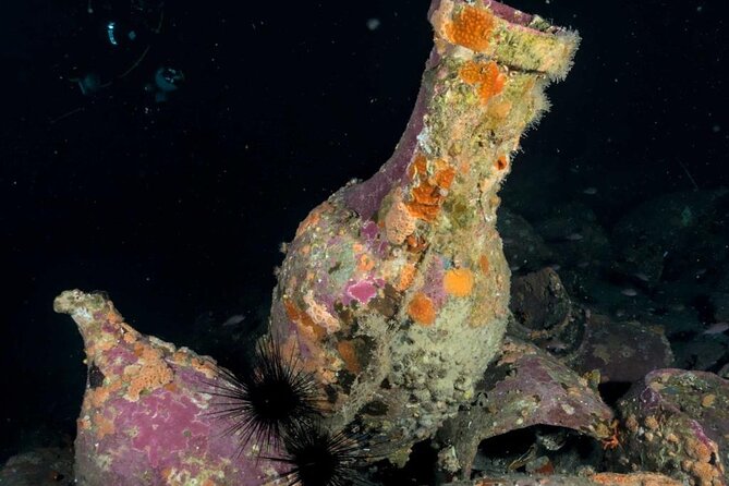Scuba Diving Experience - Why guide support matters underwater