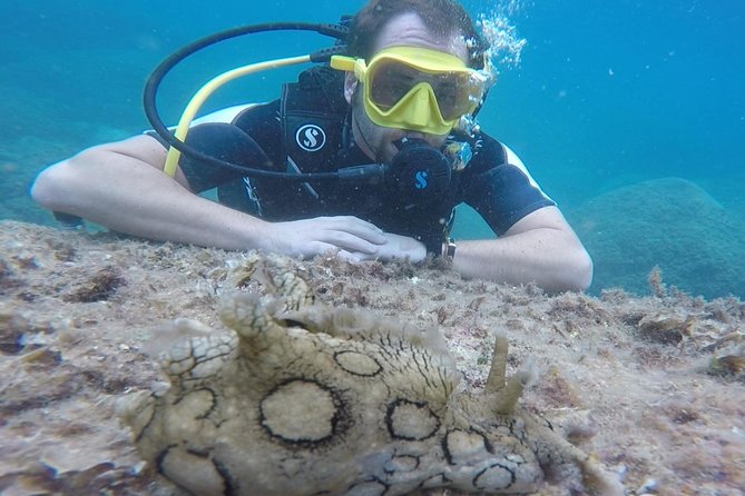 Scuba Diving Experience in Taormina - Is $163.23 a fair price?