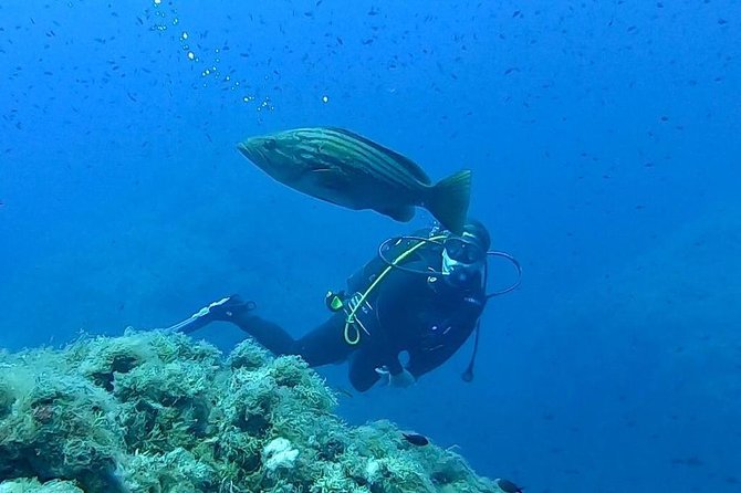 Scuba Experience - Key points to know before booking