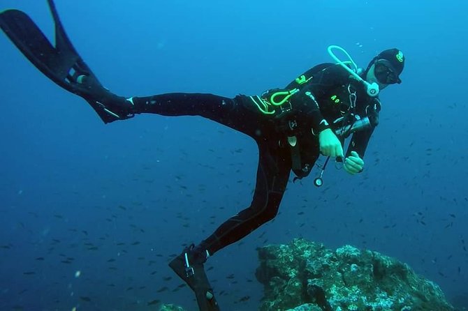 Scuba Experience - Is $96.55 a fair price?