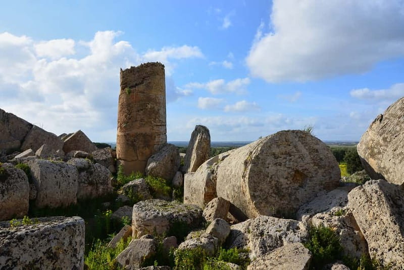 Selinunte: Archeological Park Entry Ticket & App Audioguide - Key points to know before you book