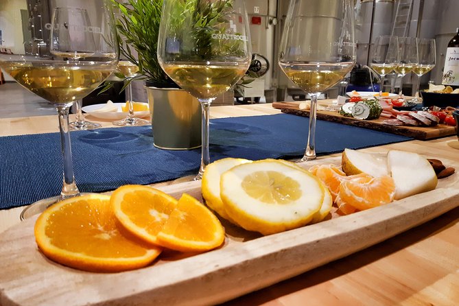 Sensory tasting with organic wines - Key points to know before booking
