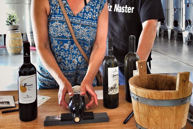 Sensory tasting with organic wines - A young winery with a family feel