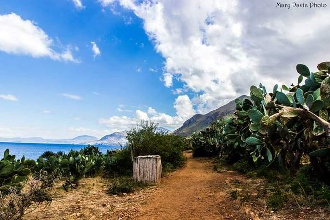 Shuttle Bus Riserva dello Zingaro - Clear water and coastal stops