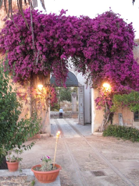 Sicilian cooking class in the historic baglio Florio Adamo - What you actually cook during the 3.5 hours