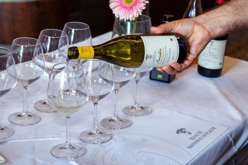 Sicilian Soul: Winery Tour, Wine & Food Tasting in Catania - How to make the tasting more rewarding