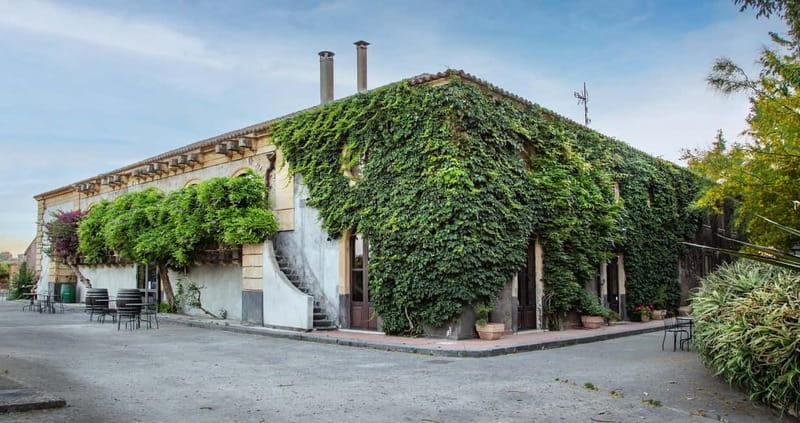 Sicilian Soul: Winery Tour, Wine & Food Tasting in Catania - The stone Palmento gives the tasting its character