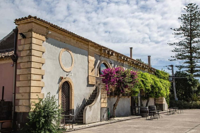 Sicilian Soul: Winery Tour, Wine & Food Tasting in Catania - The Sicilian food spread is a serious part of the visit