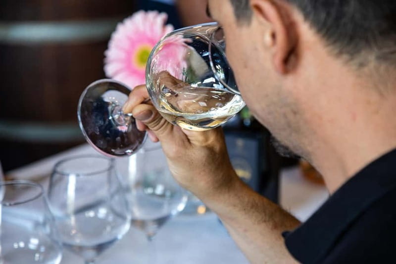 Sicilian Soul: Winery Tour, Wine & Food Tasting in Catania - Why the guide matters here