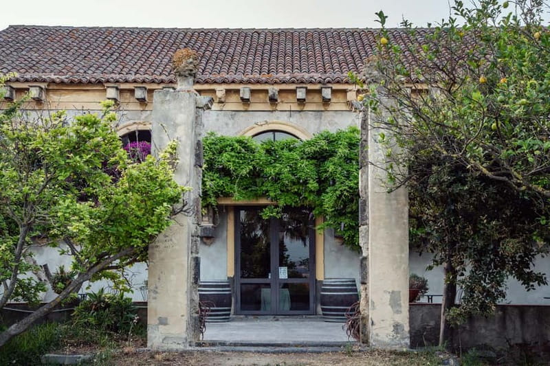 Sicilian Soul: Winery Tour, Wine & Food Tasting in Catania - What happens during the 1.5-hour visit