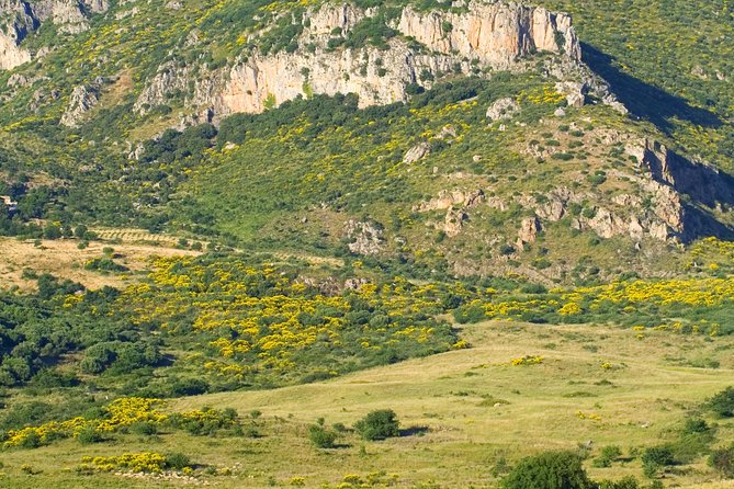 Sicilian Villages & Ricotta Tasting - including Lunch from Cefalu - Castelbuono and the hill-town character