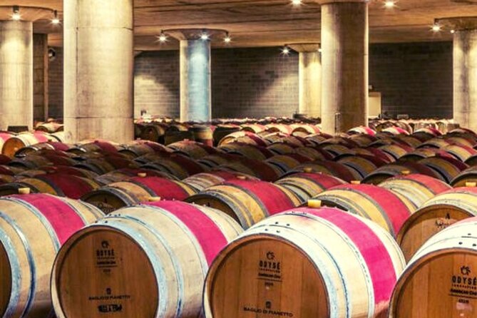 Sicilian Winery Tour with Wine Tasting from Palermo - The ride from Palermo to Baglio di Pianetto