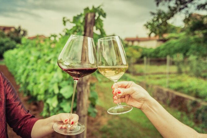 Sicilian Winery Tour with Wine Tasting from Palermo - Who will enjoy this half-day outing