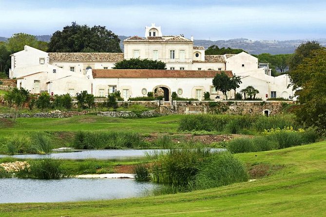 Sicily Baroque Grand Tour (Private) - Day 3: Planeta wine and a music-filled dinner