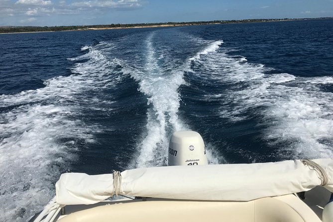 Sicily Boats Avola: Plemmirio boat tour 4 people 4 hours - The personal touch with Enzo