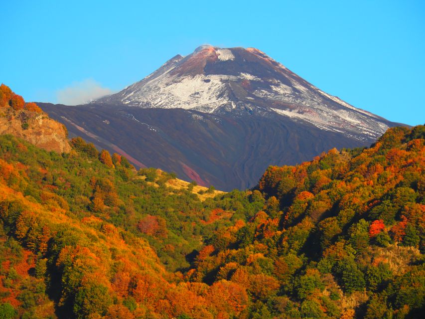 Sicily: Mount Etna's North Slope Craters Guided Hike Tour - The first section follows an easy lava path