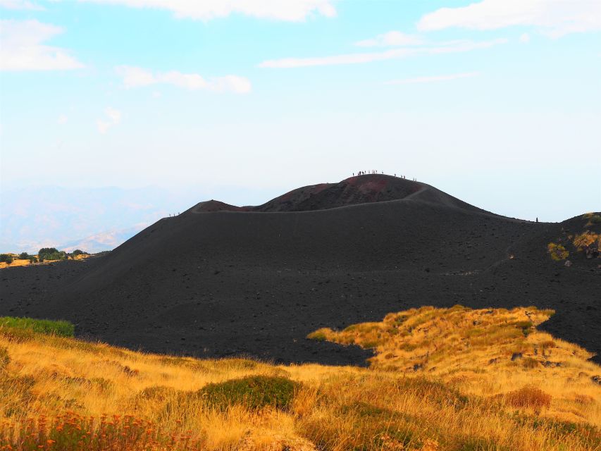 Sicily: Mount Etna's North Slope Craters Guided Hike Tour - The Ragabo Pinewood canyon shows the cost of an eruption