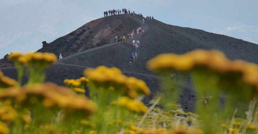 Sicily: Mount Etna's North Slope Craters Guided Hike Tour - Meeting at Piano Provenzana