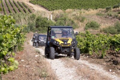 Off-Road ATV Buggy Tour