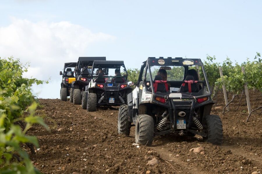 Sicily: Off-Road ATV Buggy Tour - Who will enjoy this ride most