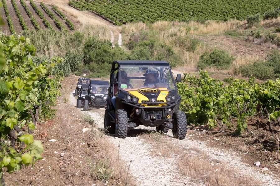 Sicily: Off-Road ATV Buggy Tour - Riding through vineyards, orchards, and country tracks