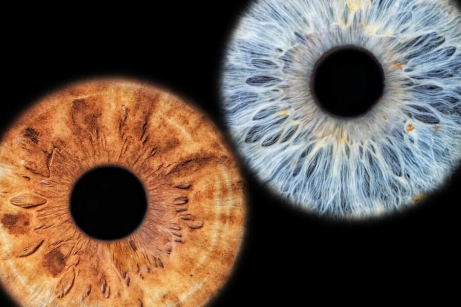 Siracusa Iris Photography Experience - Key points to know before booking