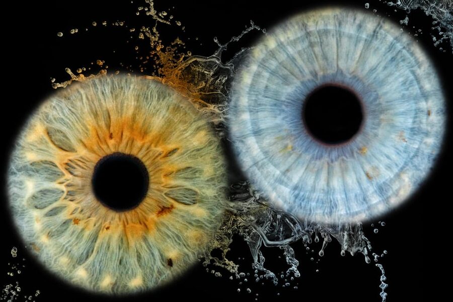 Siracusa Iris Photography Experience - Turning one eye into a personal souvenir