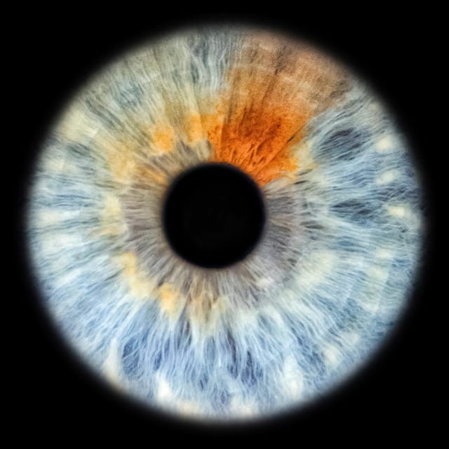Siracusa Iris Photography Experience - What happens during the 30-minute session