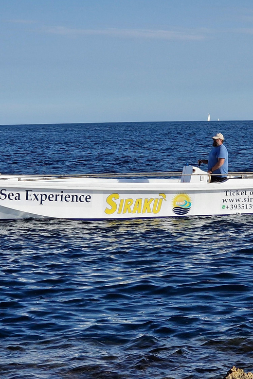 Siracusa: PRIVATE boat excursion 2,5h - Choosing your route with the skipper